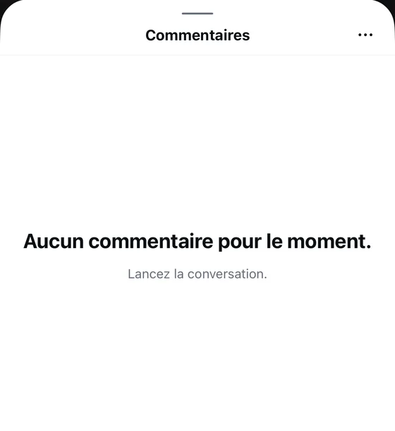 Nos résultats, captures à l’appui 8 Section commentaires d’un Reel Instagram avant la commande : aucun commentaire