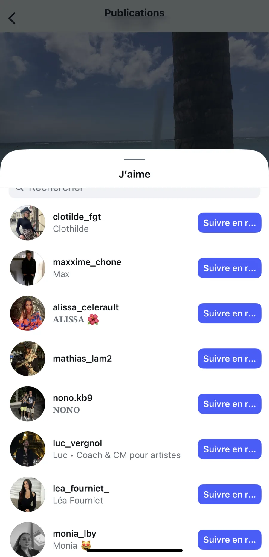 Nos résultats, captures à l’appui 7 Liste des comptes ayant aimé une publication après une commande de likes Instagram français